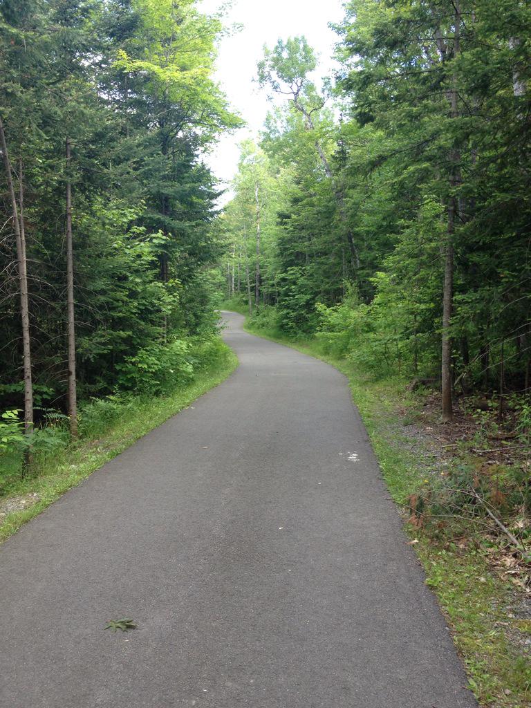 Burrows260's tweet image. Beauty night for @TimHortons #earnabike with @SaultPoliceCSO2 on the @CitySSM #hubtrail