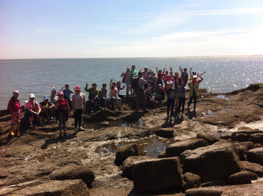 Brynhyfryd Juniors tweet media