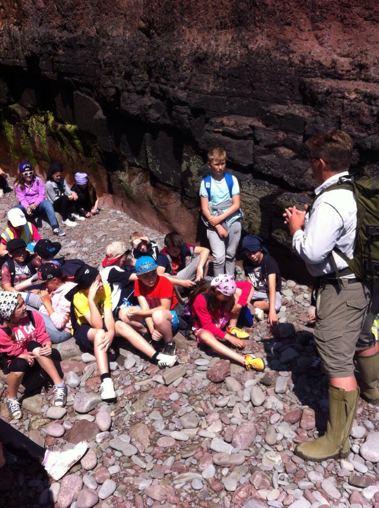 Brynhyfryd Juniors tweet media