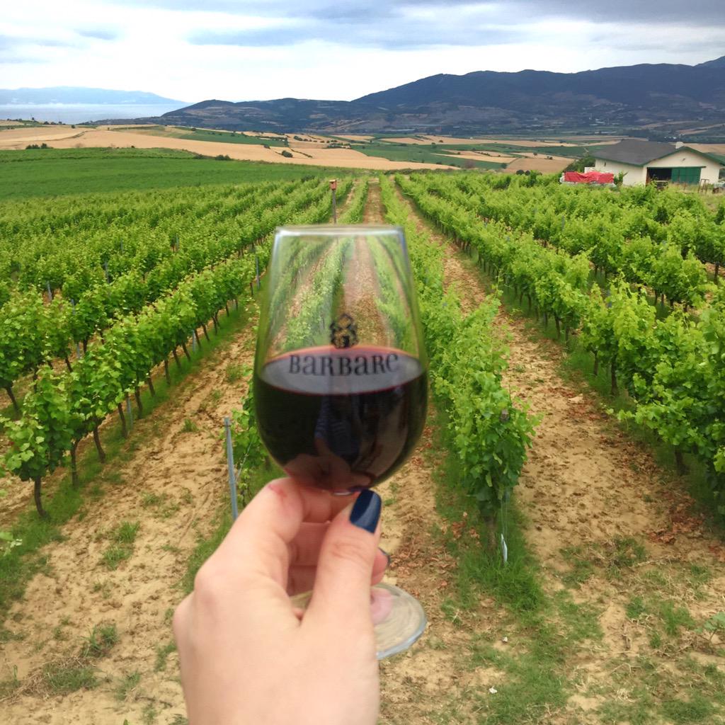 Barbare Vineyards (@barbarewines) on Twitter photo Let us all raise our glasses to <a href="/turkishwineuk/">TurkishWineHub</a> <a href="/SarahAbbottMW/">Sarah Abbott MW</a> @MelisaFineBrand #turkishwine #barbarewines Let us all raise our glasses to <a href="/turkishwineuk/">TurkishWineHub</a> <a href="/SarahAbbottMW/">Sarah Abbott MW</a> @MelisaFineBrand #turkishwine #barbarewines