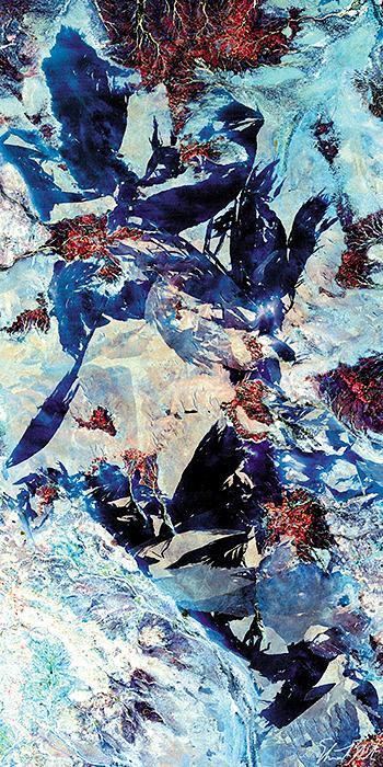 Earth from Space tweet media