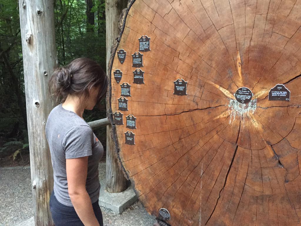 turtles_trails's tweet photo. Why so impressed with some 2000 year old tree? I mean, I have a kitchenette. http://t.co/JJgByIJ5ZL