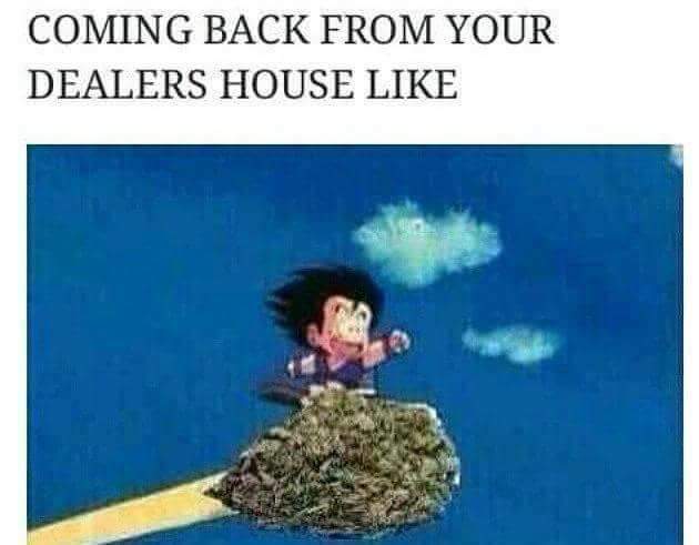 Weeedporn's tweet photo. TRUUUUU😂😂✌✌ http://t.co/RugOu38BW6