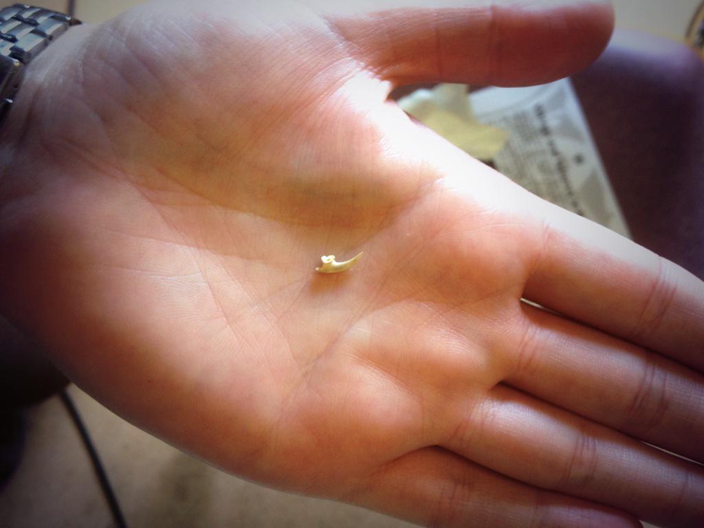 Embedded image permalink