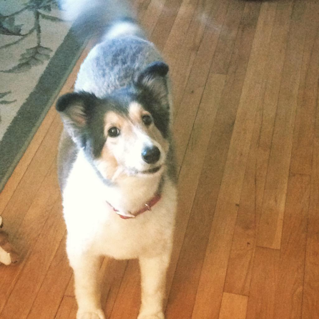 Shelly wants you to come out to Katies of Smithtown tn, don't let her down!