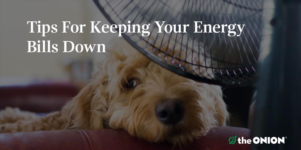TheOnion's tweet photo. Here are some tips for saving energy and keeping your monthly bill reasonable: http://t.co/K7iObAxhDD http://t.co/Ng1B20IrCK