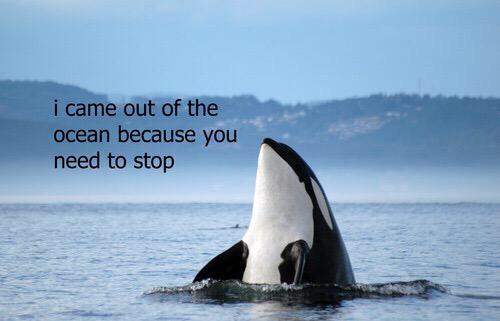 thetheatreposts's tweet photo. when the underclassmen think they're getting leads and talk about it to EVERYONE http://t.co/TQ5n5HqHmx