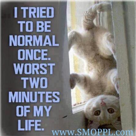 SMOPPL.com tweet media