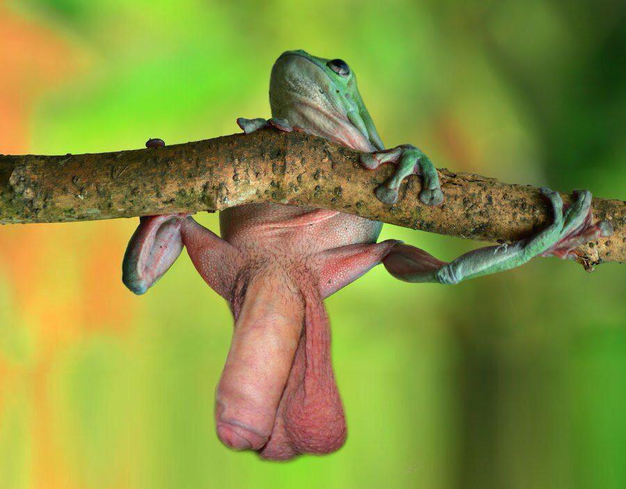 JevSpoder's tweet image. ?