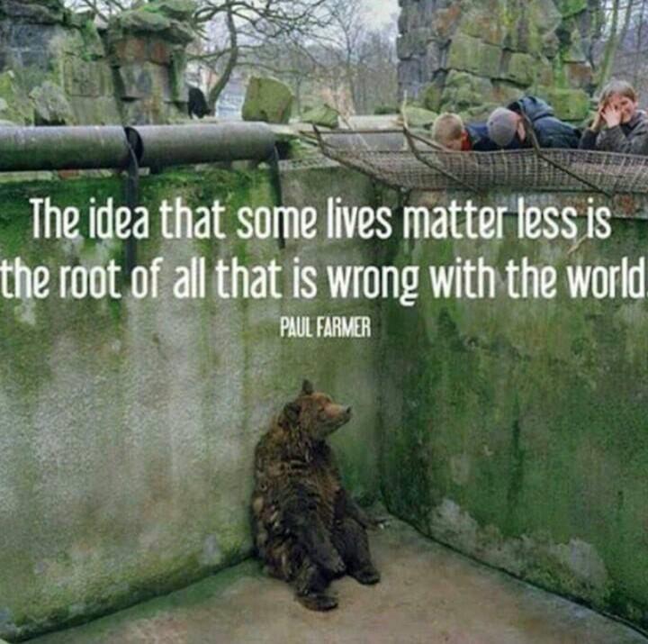 evestar_4's tweet photo. #truethat http://t.co/sJ6Ck1jiKX