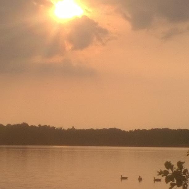 Ons uitzicht van uit ons huisje op vakantiepark de Beekse bergen.