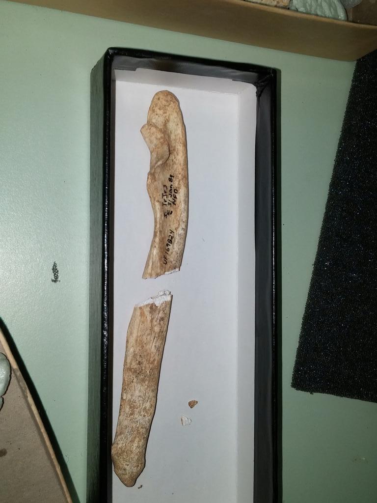 docsloth's tweet image. Oops! Mishap whilst unpacking the loan. #embarassed #notprofessional