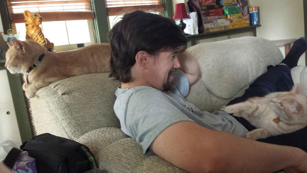 IrishLitLass's tweet photo. @mindykaling Pet Pantry, where I adopted my cat Toby, seen with his brother Bucky &amp; my fiance! http://t.co/RbpTnJRTD9 http://t.co/X6Z8omgR7p