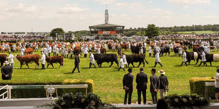 greatyorkshow's tweet image. #YorkshireHour 19 days to go until the Great Yorkshire Show (14-16 July) #seeyousoon socsi.in/h8sFA #GYS2015