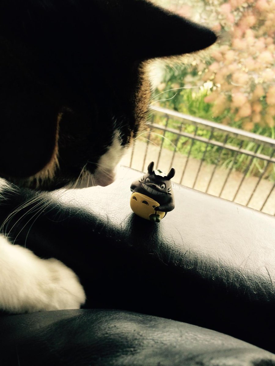 Sarabe3's tweet photo. #wanderingtotoro #japancrate http://t.co/yziLyuf1ta