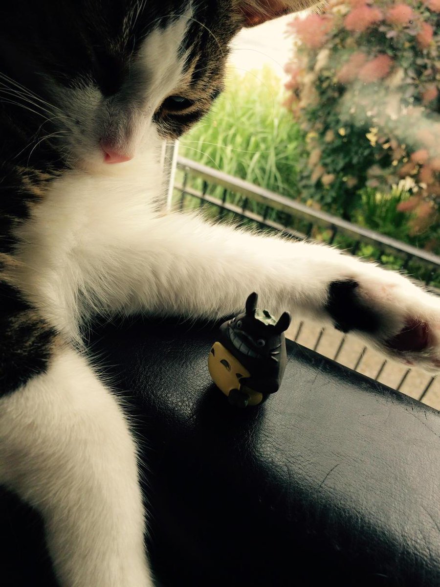 Sarabe3's tweet photo. #wanderingtotoro #japancrate http://t.co/tcn6Xcd59O
