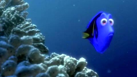 amythepanda101's tweet photo. Dory i found you http://t.co/6uNGHGE4qk