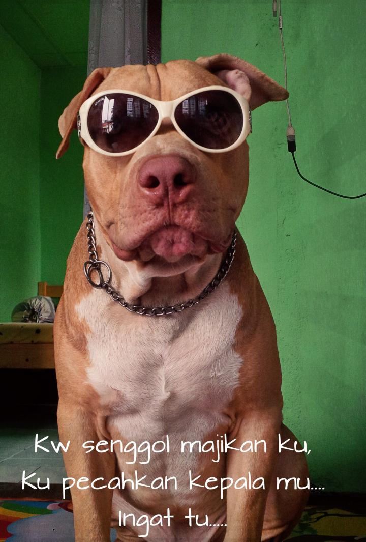 Shinjo_Haruno's tweet photo. Berdiam sejenak (@ Shinjo's Home in Medan, indonesia) http://t.co/EFmMDONRPv http://t.co/odauvtpAOj