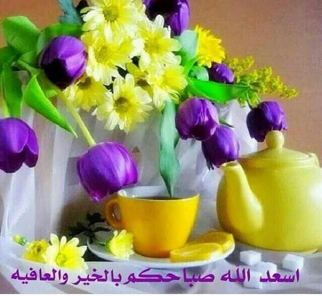 nalkr1402gmail6's tweet photo. " فجري و فجركم جنہ : نبشر بهآ ،  
   ونيرآن : نعتق منھآ يارب"🌹 http://t.co/mxkWfTLFvl
