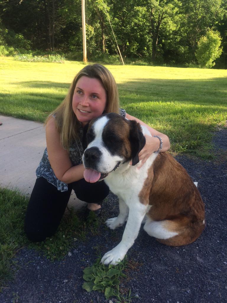 lostpetscentre's tweet photo. So excited tonight to meet Celeste the #Saint Bernard missing for 8 weeks and now home. #HappyValley #centrecounty http://t.co/L1Yl0ggjvy