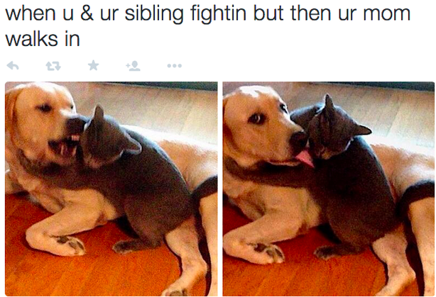 BuzzFeed's tweet photo. 22 pictures that are too real for people with siblings http://t.co/113rL0K1MF http://t.co/AZ36wgC7LM