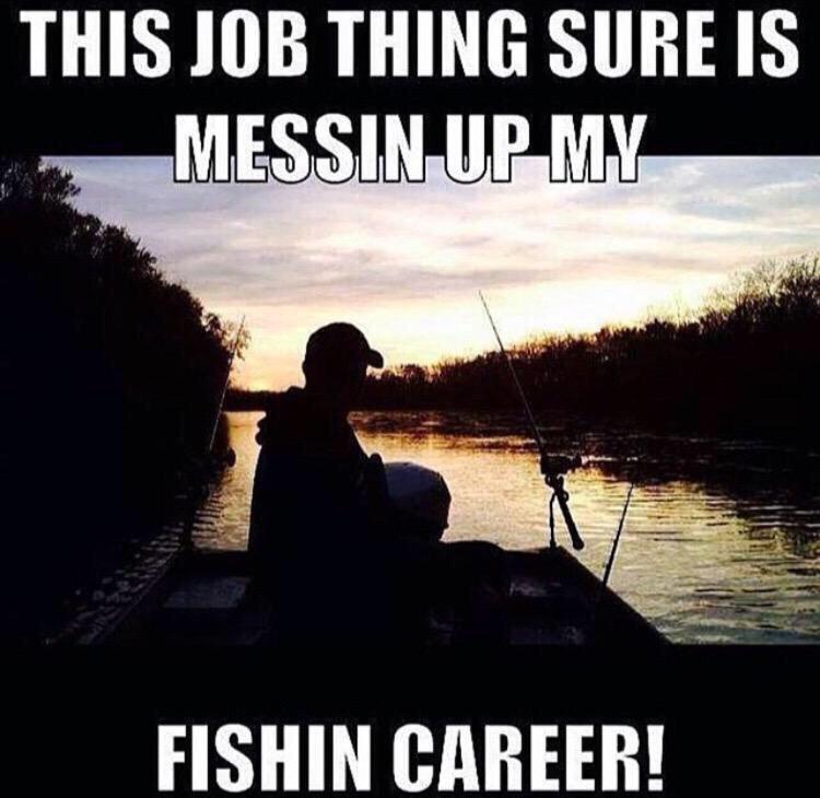 OutdoorObsessor's tweet photo. Yep http://t.co/PV9M4fNkSW