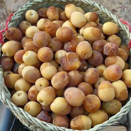sbassq997's tweet photo. هذه الرطب امي ذزته الكم http://t.co/5FDJi4V6Fy