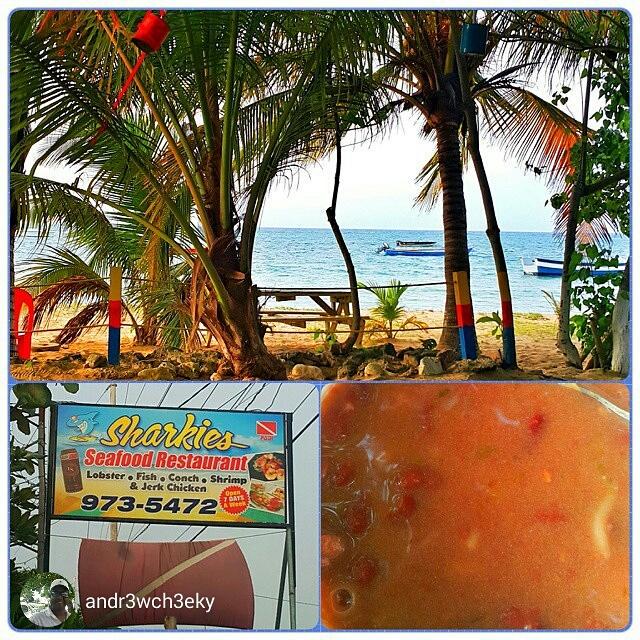resortdiversja's tweet photo. #scuba #mermaidlife #oceantherapy #hearttheocean #divejamaica #resortdivers #resortdiversjamaica http://t.co/v7jRllIVuU