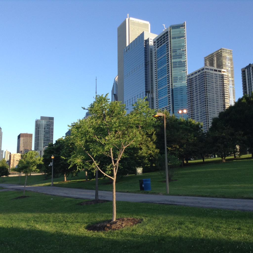 ChrisHewitt1609's tweet photo. #BASF Science Symposium over. Time for a run along the #chicago lake front #SCS_CH http://t.co/9iXxXa4Kg2