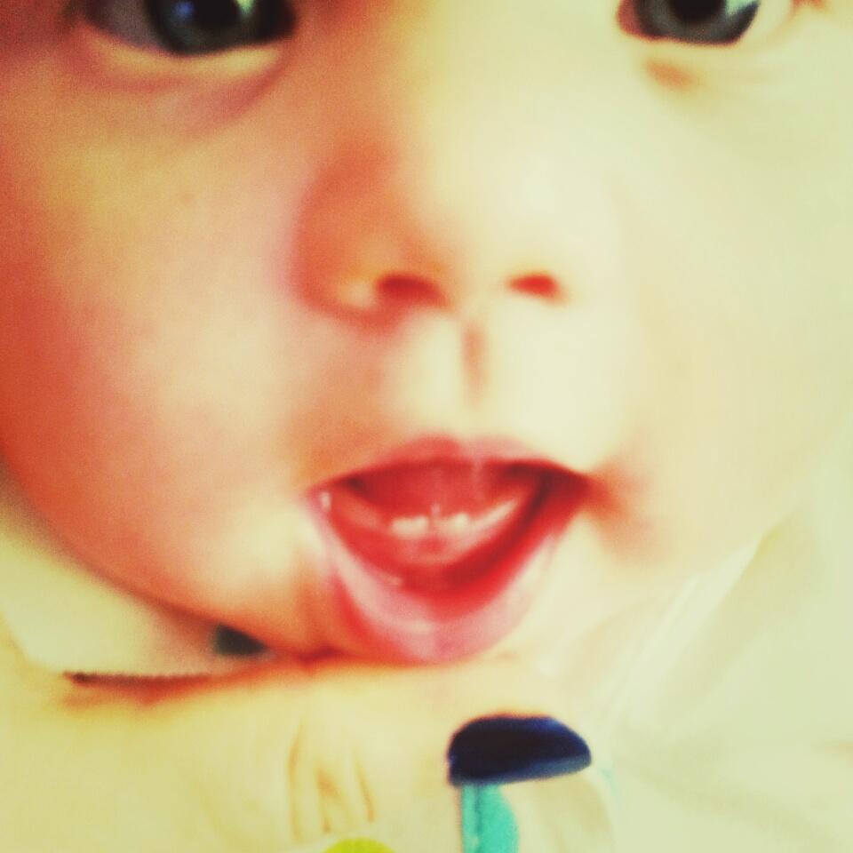angie_avb840's tweet image. 2 teeth! #firstteeth #teeth #baby #babies #mylove #mybaby #babygirl #sahm