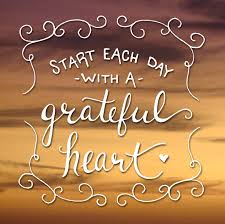 Thank you for your cooperation. I am grateful. I would be very grateful. Афоризмы про бабочек. Grateful.