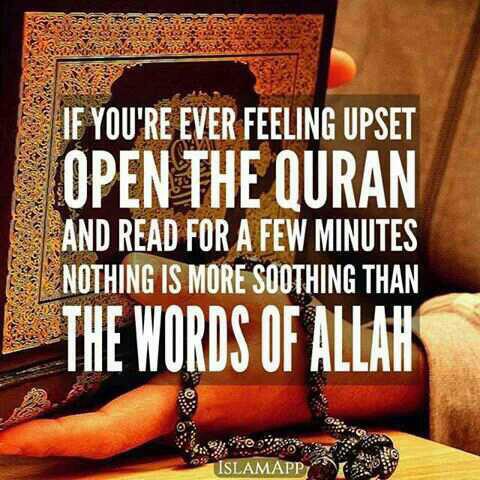 AjazkhanActor's tweet photo. 🌹7th roza mubarak🌹 http://t.co/efTfKDyvjY