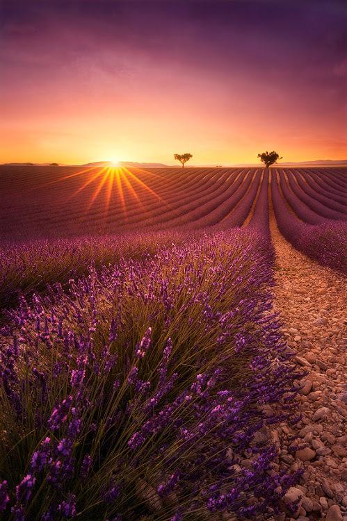 atekonkon's tweet photo. One day in Provence - Photography by Julien Delaval http://t.co/oHlZL5kqgt La.. http://t.co/Mm2bH5OlPY v @Skookum86 @opajdara @DanFMillerArt