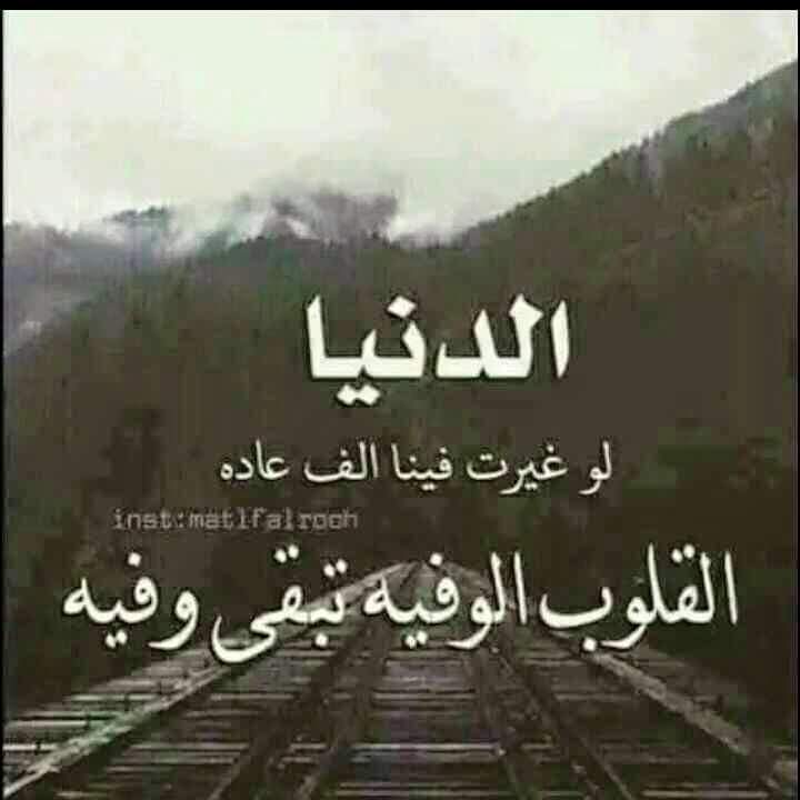 هشام الحيدري (@hshaamm) on Twitter photo 