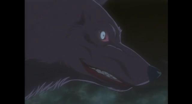 billcipher17's tweet image. @steph_fangirl7 @haleyhi38609647 *takes form of wolf* wanna wolf fight that's fine with me