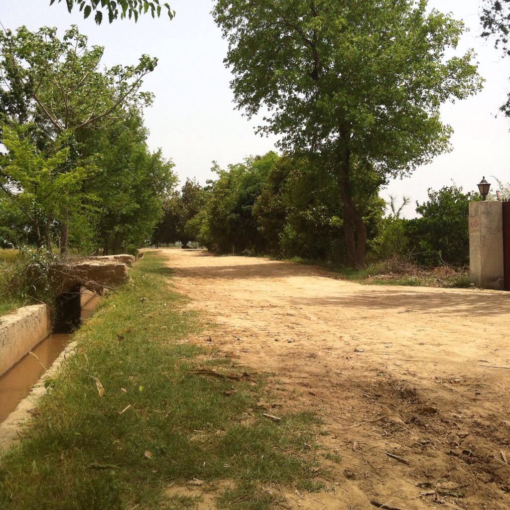 nerjisleghari's tweet photo. #SaveFutureGrowMoreTrees Plant lot of trees in my village. http://t.co/v8T7VrTCgK