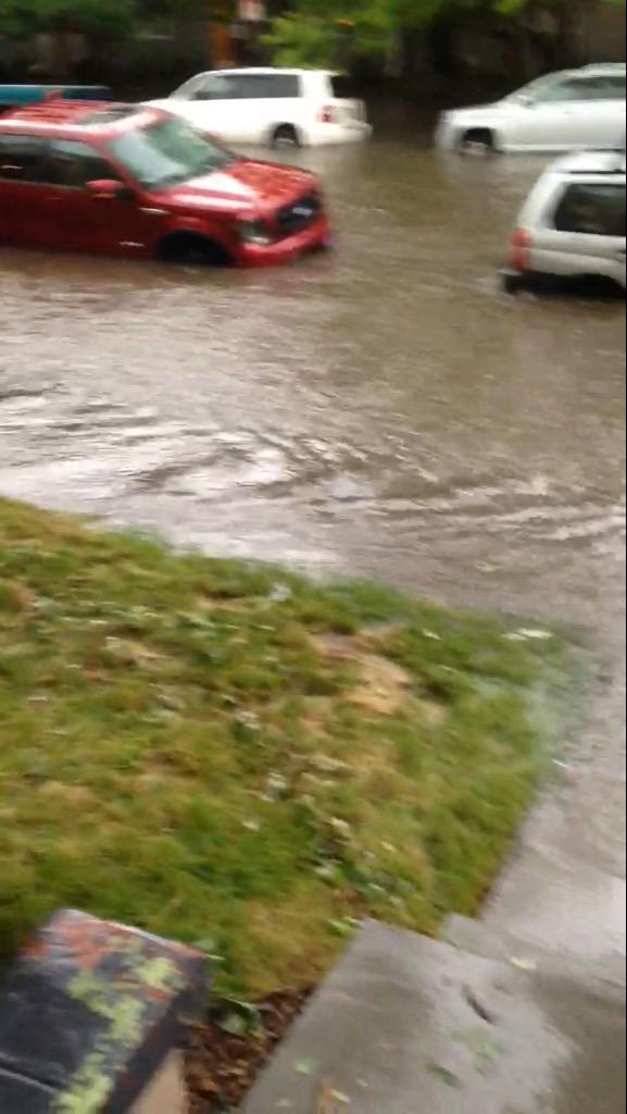danaesally's tweet photo. Good thing we parked the car in the back today http://t.co/6QeogKnb4a