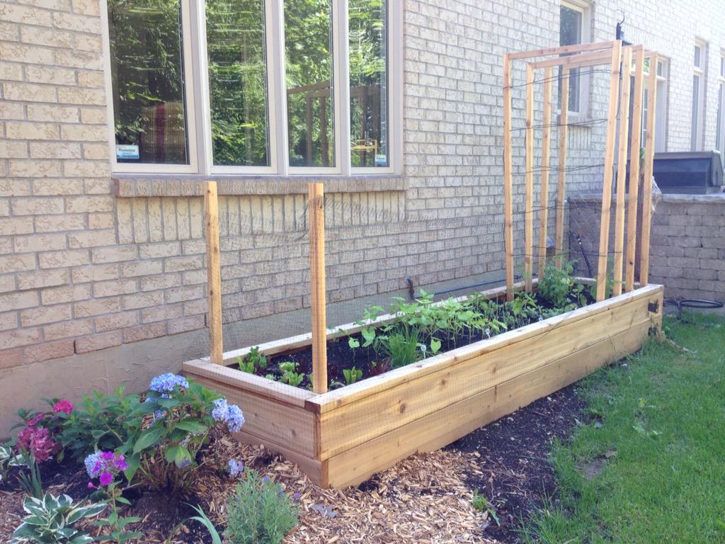 jackieglasscity's tweet photo. Discovered Derek @homeorganicfarm creating an organic garden at our client's today! Learn more http://t.co/8P3Cd1yAsO http://t.co/M3sUYIzwmo