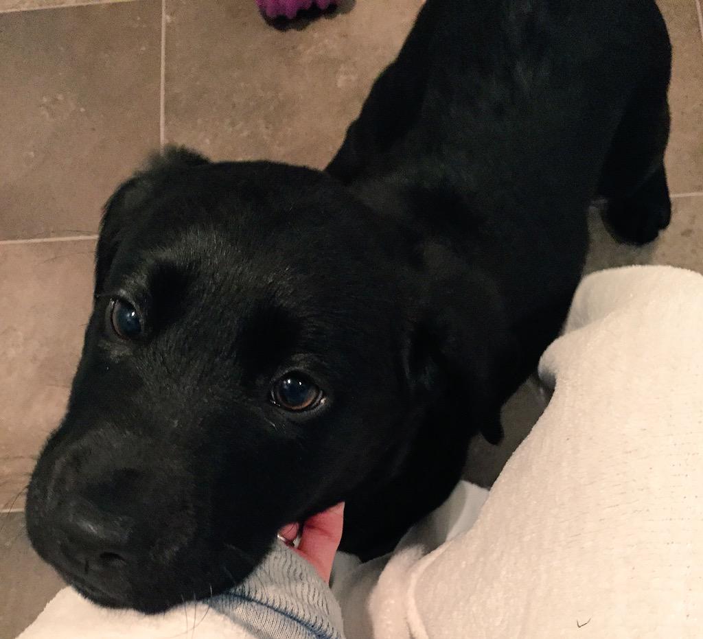 Welcome to the family Storm!