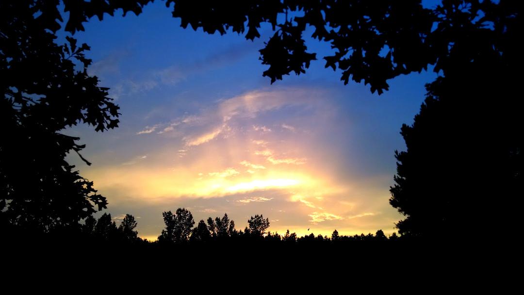 Burnsville MS 
<a href="/NMSCAS/">North MS Storm Chasers 🌪🇺🇸</a> @WTVAmatt @WTVAJoel <a href="/mswxmedia/">MS WX Media</a>