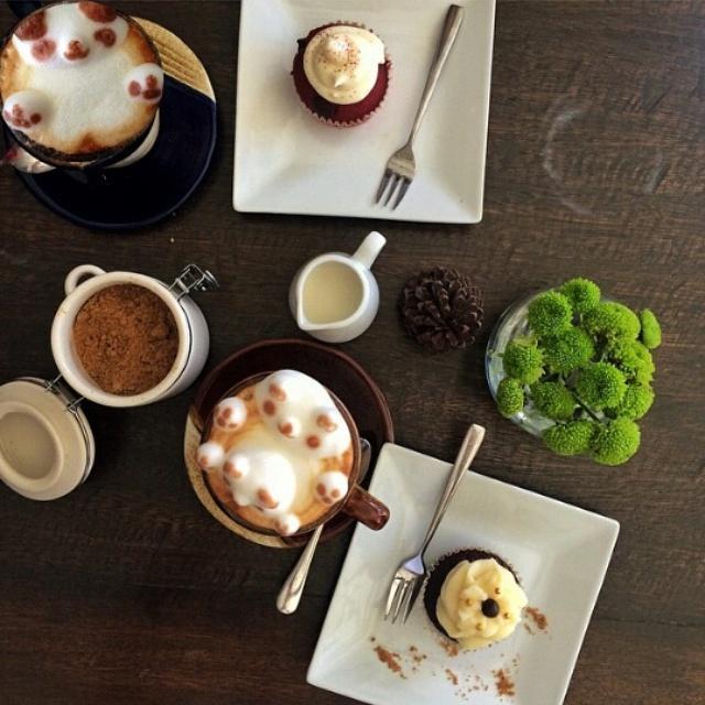 sweetpatticakes's tweet photo. Have some cupcakes + adorable and good coffee at @CommunePH! ๐ (Photo by Deegee Razon) #CommuneMoves #cupcakes http://t.co/8Szi5WV5nv