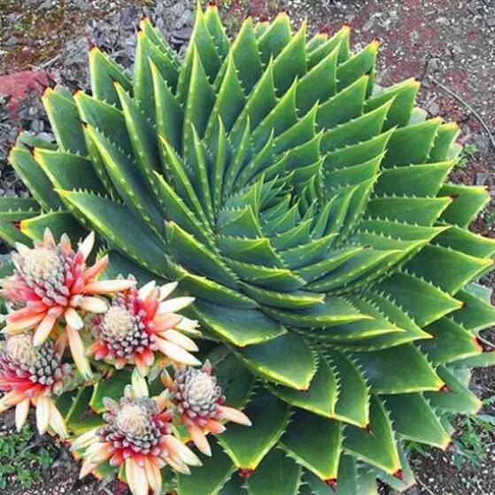 tomalpat's tweet photo. Our creativity flourishes when we break out of established patterns and look at things in a different way. #life http://t.co/OR0bdiogay