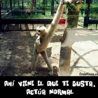 TatisRolon2230's tweet photo. ☺☺ http://t.co/lm3qSOfgaz