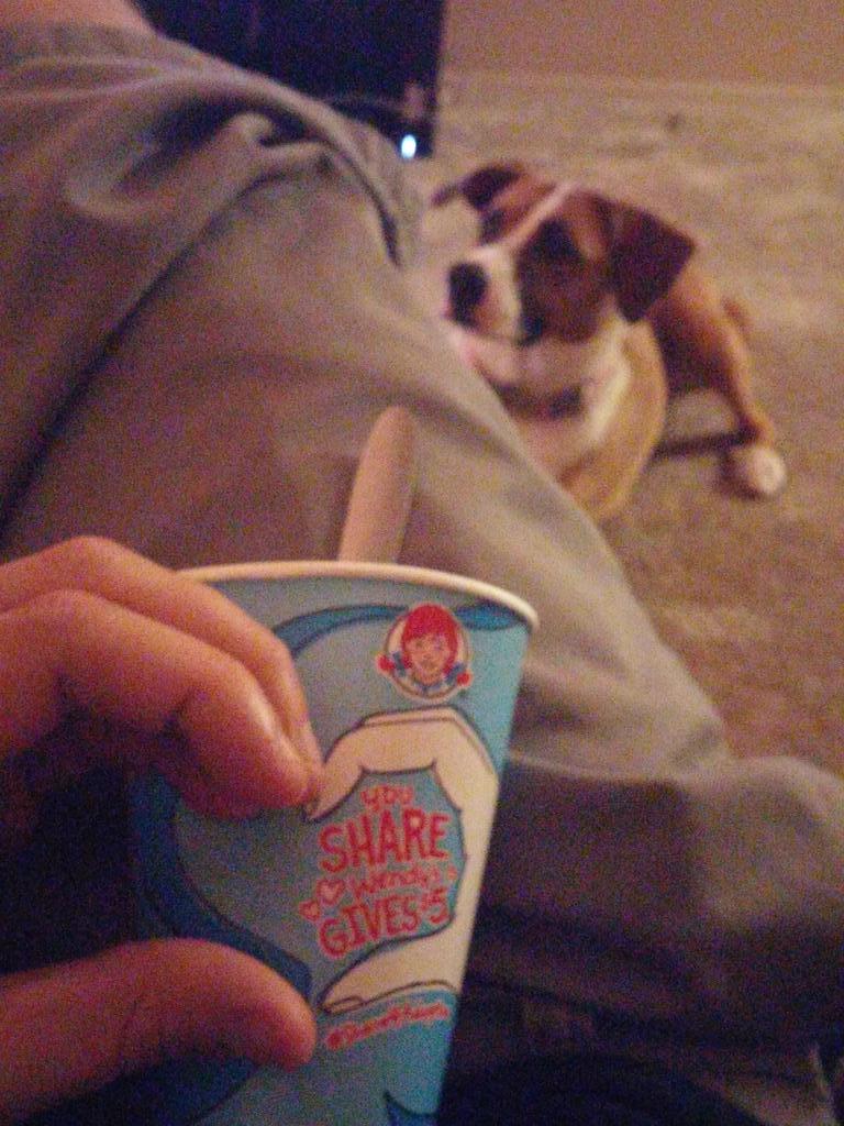 FieldsofSports's tweet photo. $5 is given by Wendys! #Share4Adoption http://t.co/vejRQeu3hx