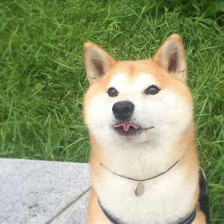 야 너 이거 되냐?