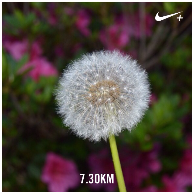 Bdel90's tweet photo. #OnlyRun  Acabo de correr 7.30 km con Nike+. http://t.co/LaxqXBbXb3 #nikeplus http://t.co/I4rlREwJfp