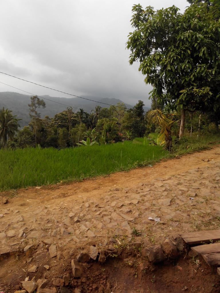 AayNgamay's tweet photo. Suasana d kampung http://t.co/lx3lkbfRvr