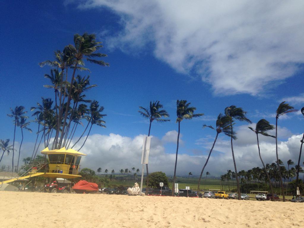 kleprey19's tweet photo. Day 1 in the land of pineapples and sunburns http://t.co/JCmfZSe1cB