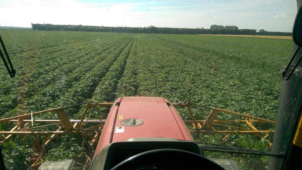 Onder door spuiten van de aardappels, met Gebr van Bergeijk