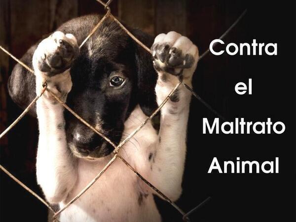 _Paisajes_'s tweet photo. No al El maltrato animal http://t.co/rhSkNphYQV